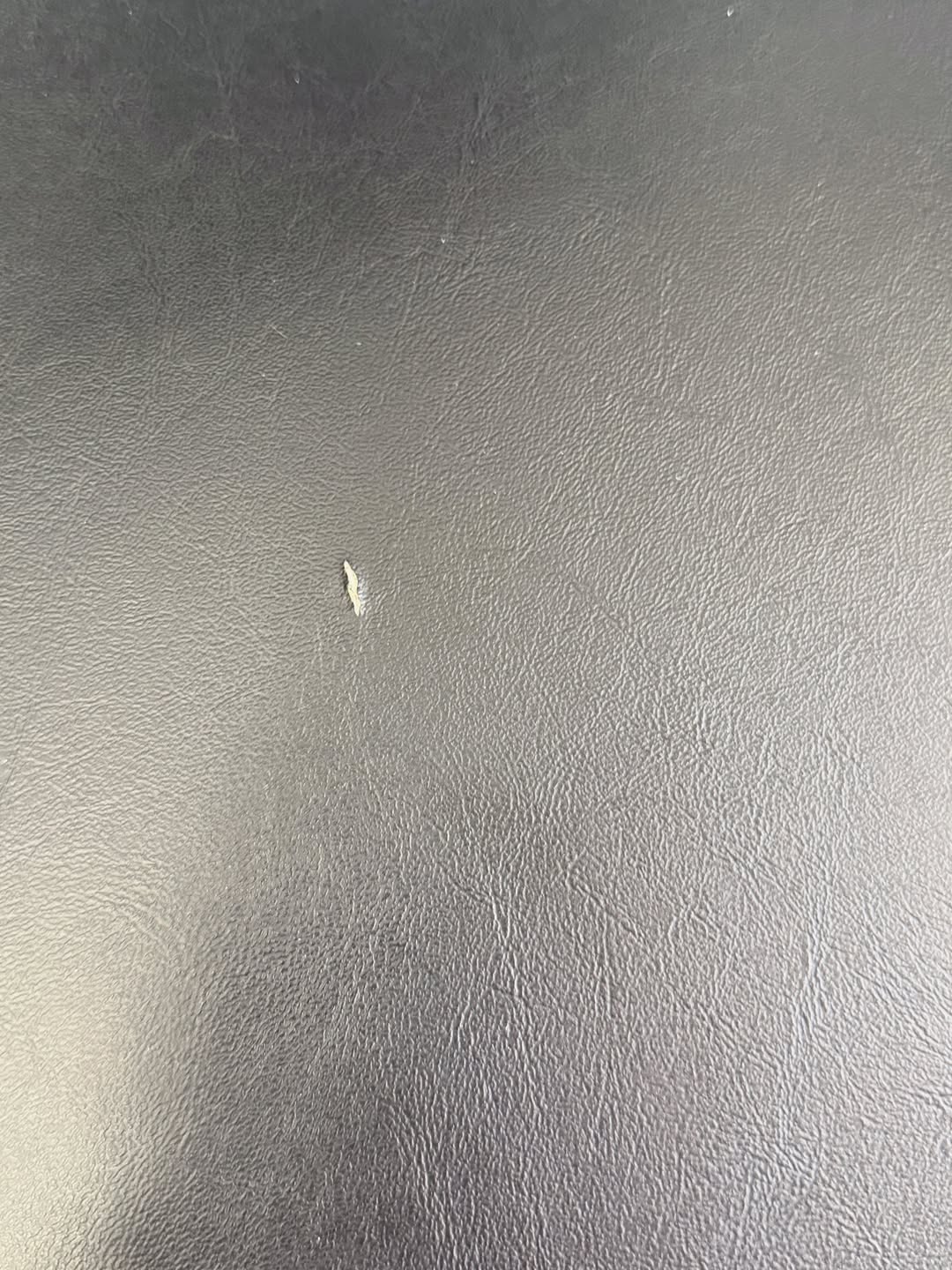 danish-model-31-dining-chairs (2)